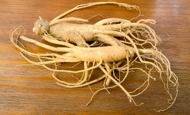 Manfaat Kesehatan Dan Kegunaan Minuman Ginseng Cara Membuat Minuman Ginseng Di Rumah