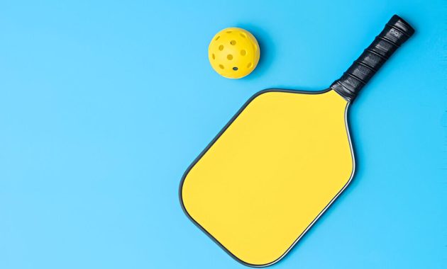 Alat Dan Perlengkapan Yang Dibutuhkan Untuk Bermain Pickleball